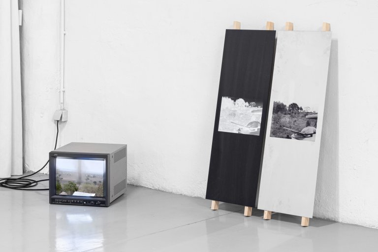 mono lisboa residency