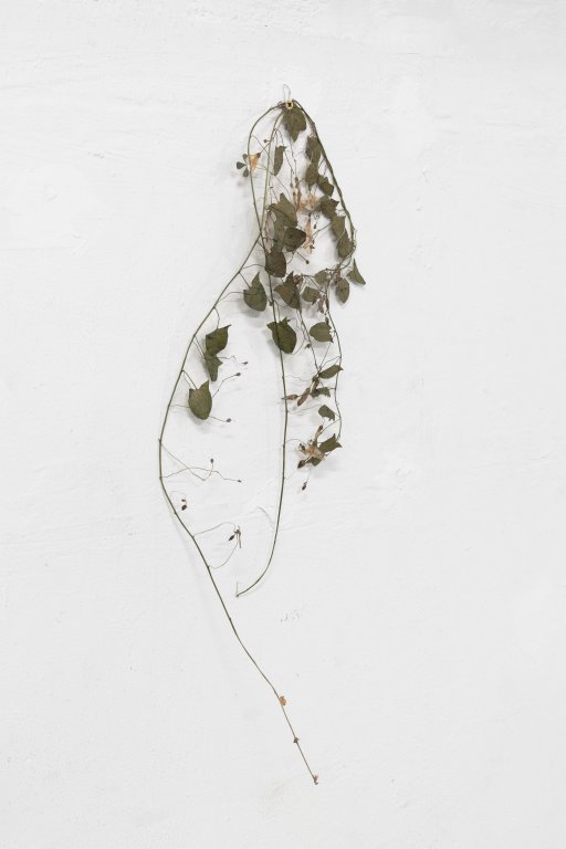 mono lisboa residency